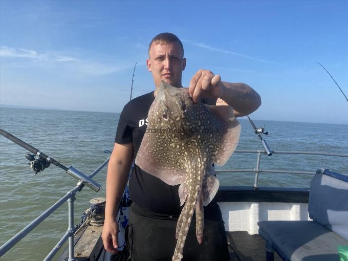 5 lb Thornback Ray by Unknown