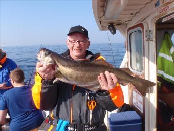 7 lb Pollock by Jim Ireland.