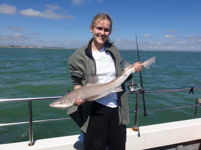 9 lb 8 oz Starry Smooth-hound by Bob Marshall