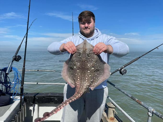 8 lb Thornback Ray by Unknown