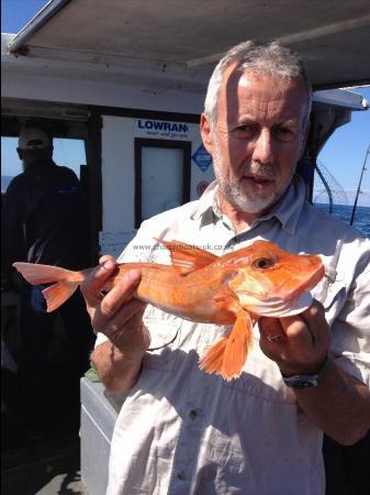 2 lb Red Gurnard by Peter