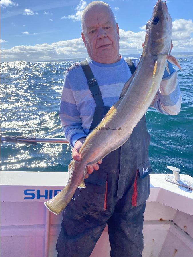 7 lb 4 oz Ling by Paul.