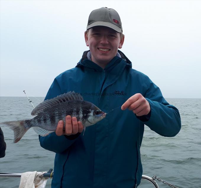 2 lb Black Sea Bream by Peter Wilkinson