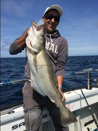 18 lb Pollock by Kevin McKie