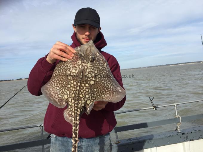6 lb 3 oz Thornback Ray by Unknown