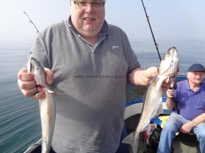 2 lb 8 oz Coalfish (Coley/Saithe) by plenty of coalfish { blackjacks]