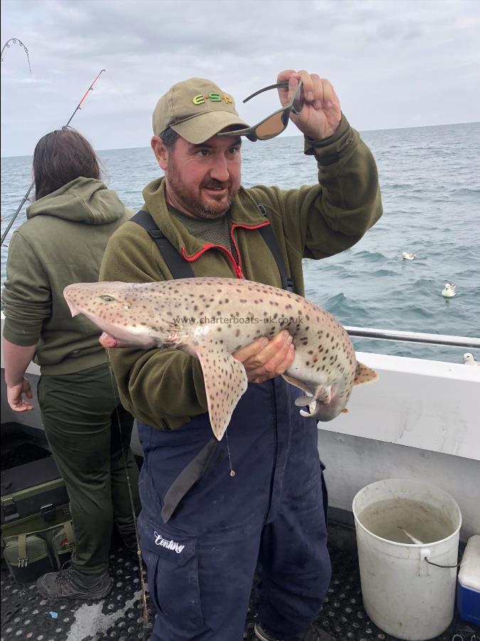 11 lb Bull Huss by Unknown