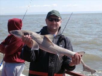 11 lb 2 oz Smooth-hound (Common) by Luke Lewis