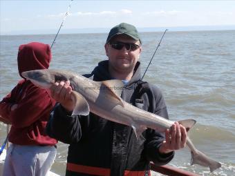 11 lb 2 oz Smooth-hound by Luke Lewis