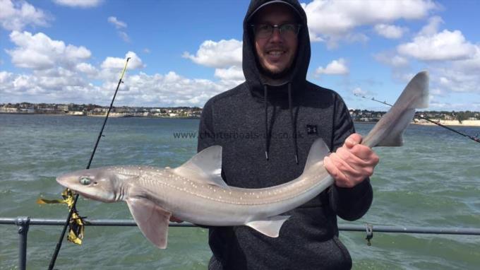 8 lb Smooth-hound (Common) by Unknown