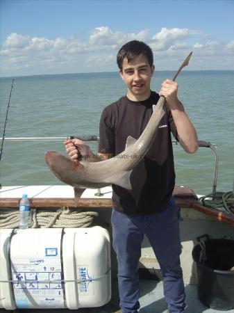 11 lb 8 oz Smooth-hound (Common) by Mark
