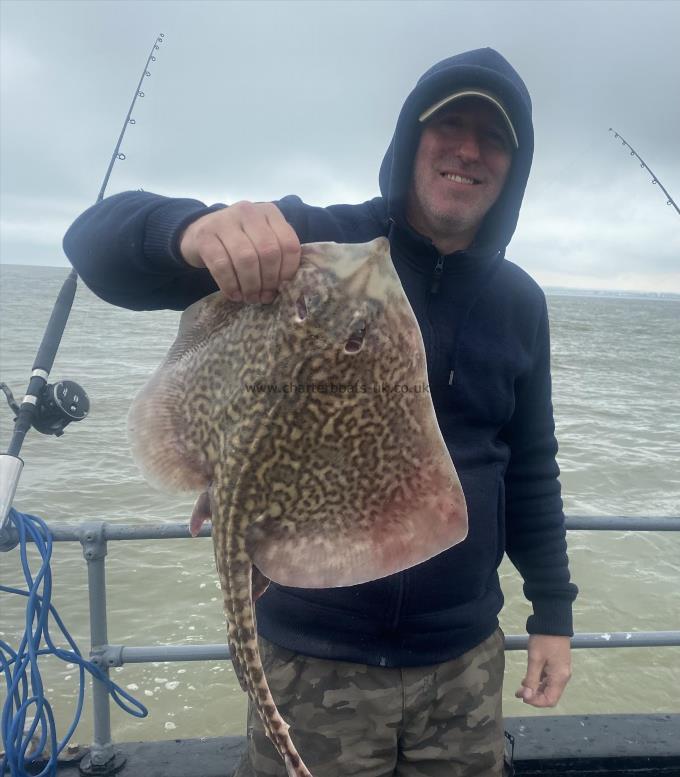 7 lb Thornback Ray by Unknown