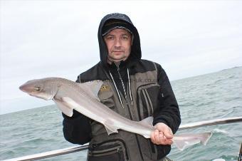 8 lb Starry Smooth-hound by Gary