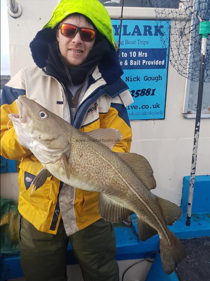 7 lb 14 oz Cod by Unknown