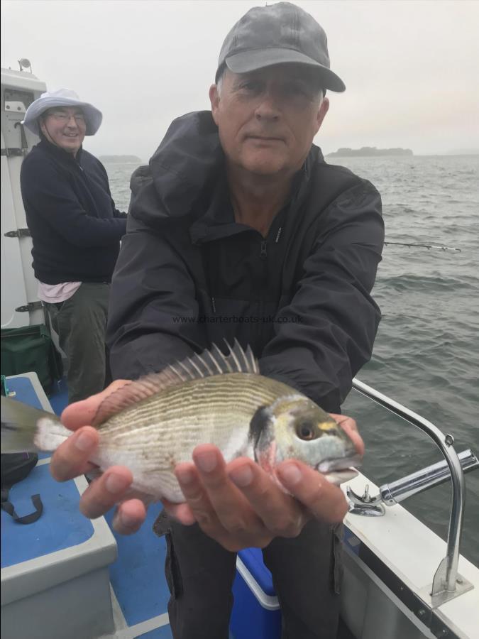 1 lb Gilt-head Sea Bream by Mark