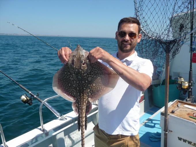 5 lb Thornback Ray by Unknown