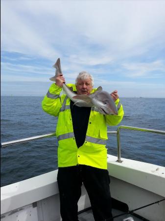 19 lb Tope by John Grumbridge