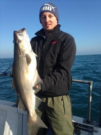 13 lb 4 oz Pollock by Radu