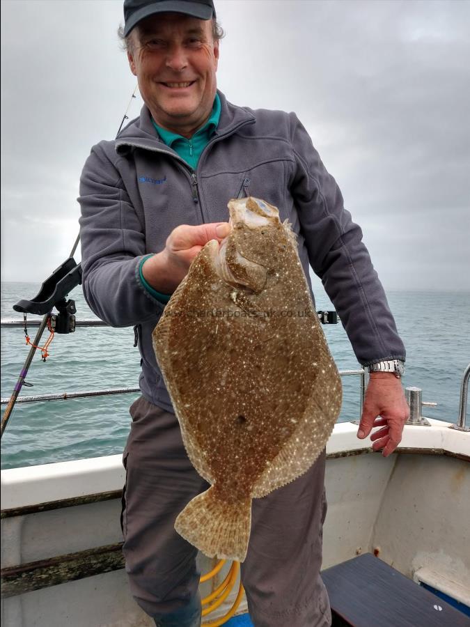 3 lb Brill by Peter