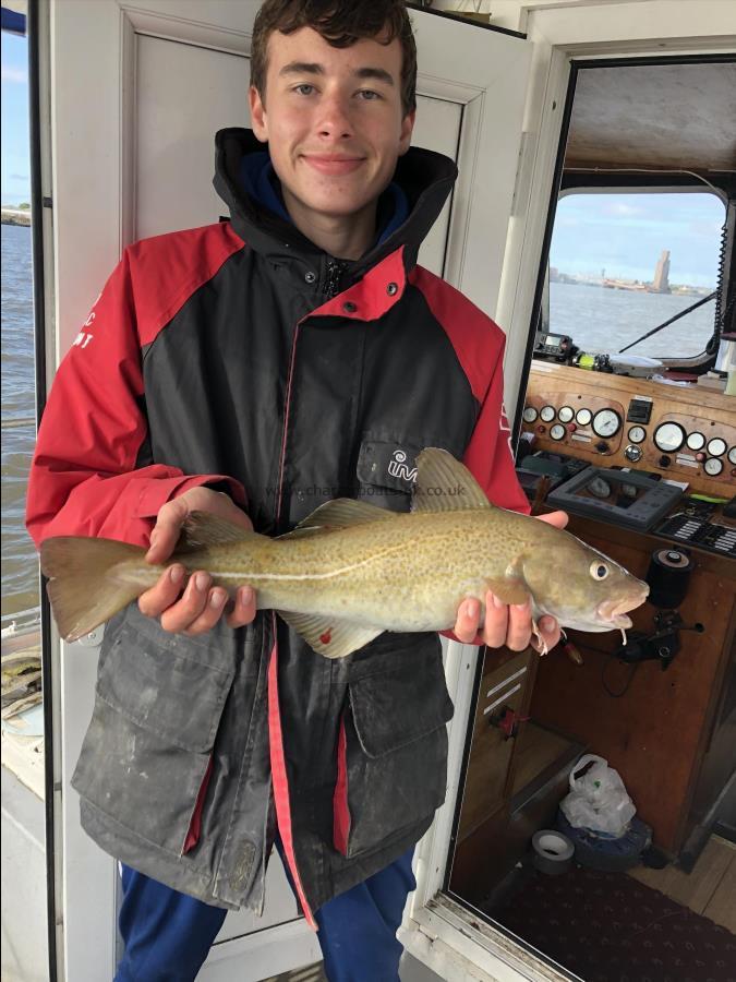 2 lb 6 oz Cod by Unknown