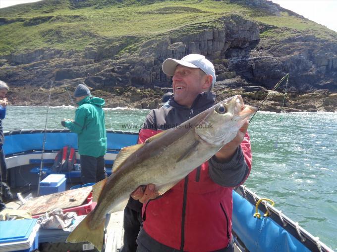 7 lb 6 oz Pollock by good inshore pollack