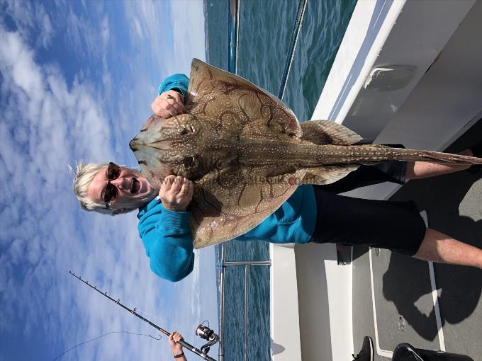 10 lb 6 oz Undulate Ray by Unknown