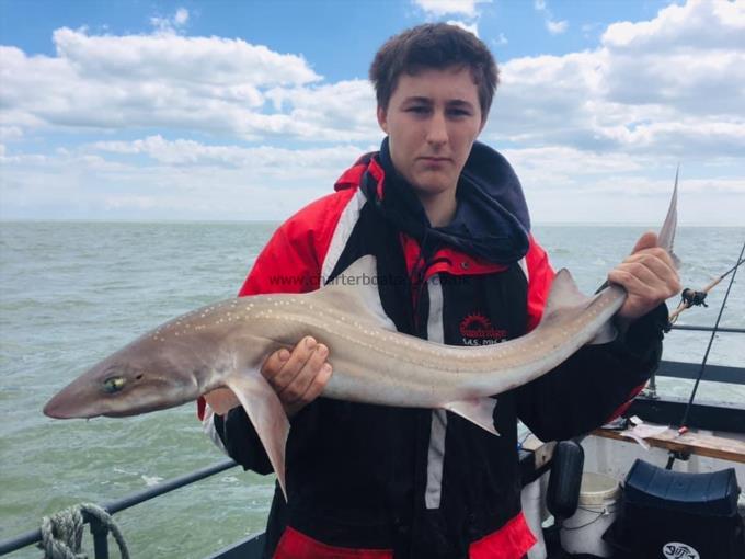 8 lb Smooth-hound (Common) by Unknown