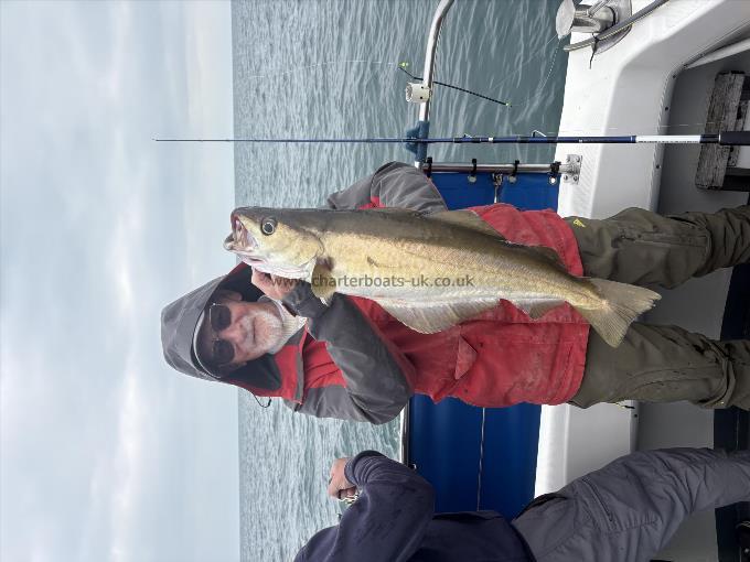 6 lb 5 oz Pollock by Unknown