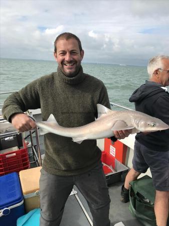 10 lb Starry Smooth-hound by Unknown
