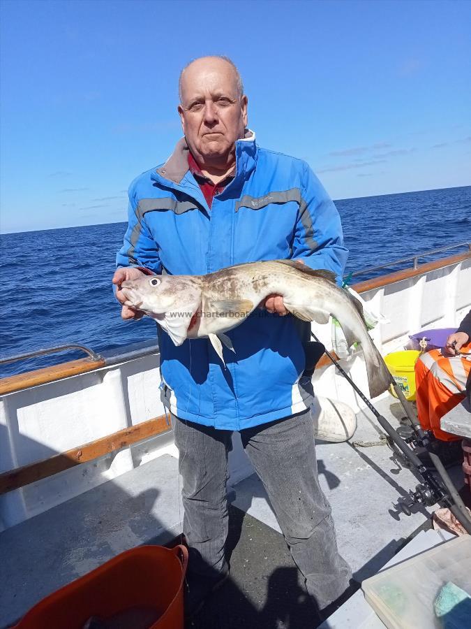 6 lb 15 oz Cod by Rob