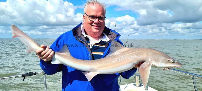 14 lb 2 oz Starry Smooth-hound by Steven