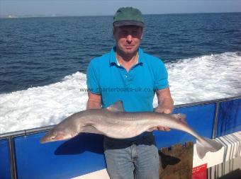 13 lb Starry Smooth-hound by Keith