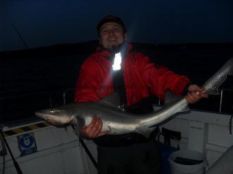 15 lb Starry Smooth-hound by Unknown