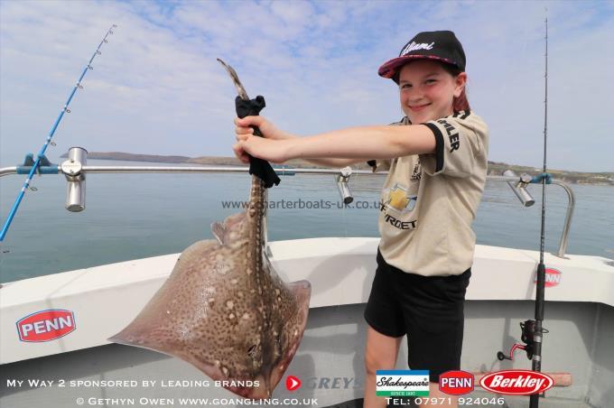 5 lb Thornback Ray by Emma