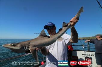 14 lb Starry Smooth-hound by Bruce