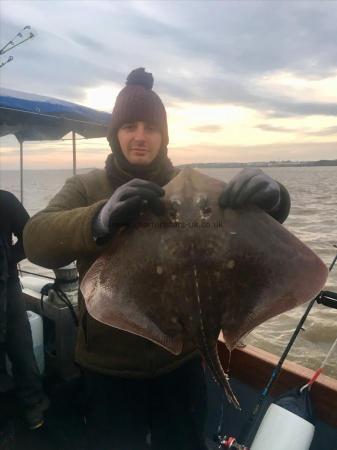 8 lb 6 oz Thornback Ray by Unknown