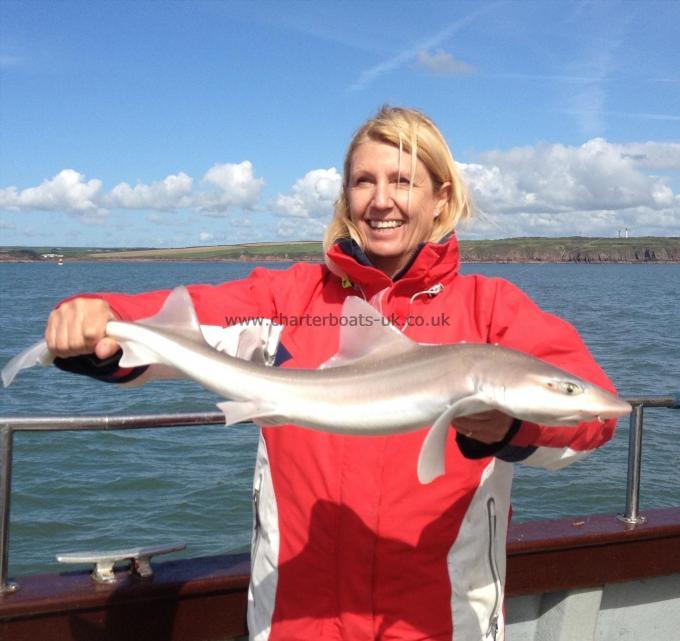7 lb Smooth-hound (Common) by Mum