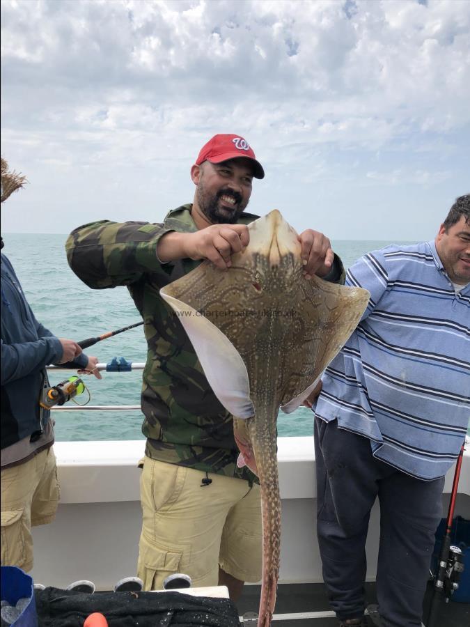 14 lb 8 oz Undulate Ray by Unknown