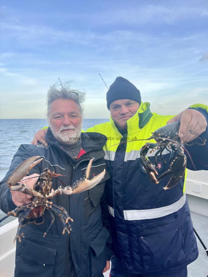 1 lb Lobster by Nigel and James Lobster Brace