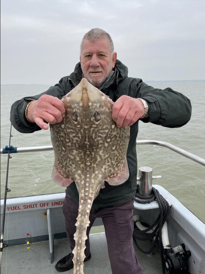 7 lb 2 oz Thornback Ray by Unknown