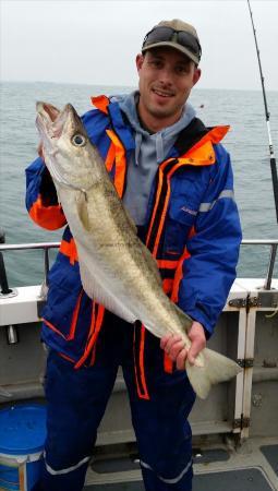 11 lb Pollock by Chris Wells