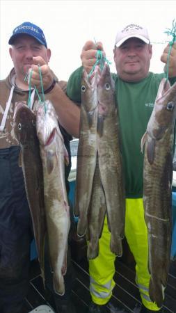 4 Kg Ling (Common) by craig and andy from hull