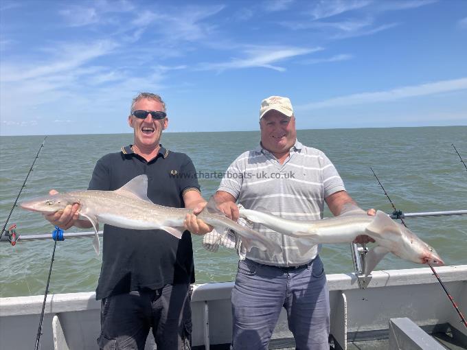 14 lb Smooth-hound by Unknown