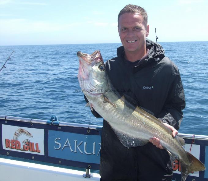 11 lb 8 oz Pollock by Darren Battams