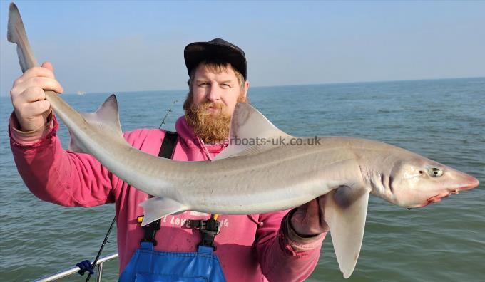 13 lb Smooth-hound (Common) by Chris