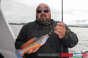 1 lb Cuckoo Wrasse by Jack