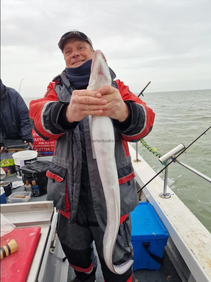 5 lb Conger Eel by Tim