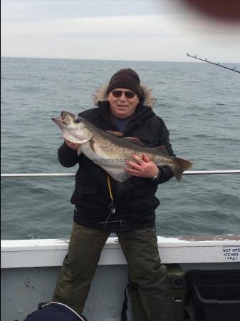 16 lb 5 oz Pollock by James Redden Cramlington,