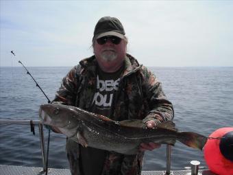 7 lb 8 oz Cod by Graham