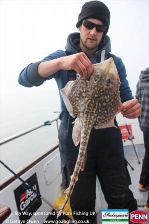 5 lb Thornback Ray by Andy